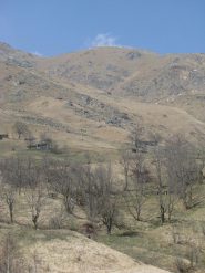 Punta di Rocce Bianche da Vasivressa