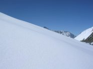 Punta Arnas fa capolino