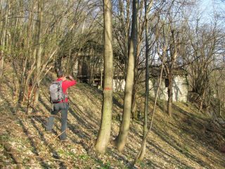 Franco e le case Verdeis