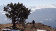fuori dal bosco