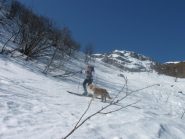 fauna locale...