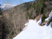la strada forestale in basso.