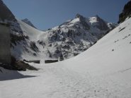 Ancora il colletto Laus.