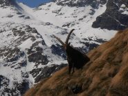 08 - ..e se decidesse di corrermi incontro...