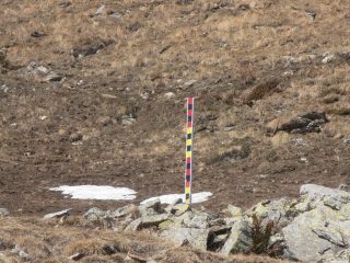 21 - paline indicatrici dell'altezza della neve installate dopo le rovinose valanghe scese nell'inverno2008-09 dal Toasso Bianco