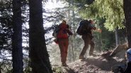 salendo nel bosco sul sentiero 20A