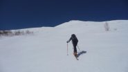salendo  