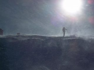 vento alla schiena d'asino
