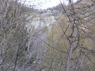 Marco b e Marco F in sosta