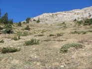 all'uscita dal bosco dopo la baita 