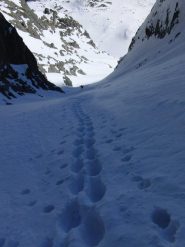 Scala perfetta...per Alf e Nadia!