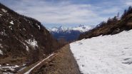 sulla poderale di rientro