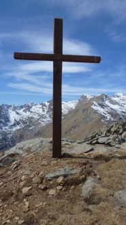 dal monte lion