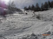 ottima sino alla fine