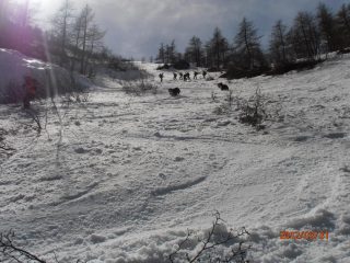 ottima sino alla fine