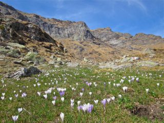 LA PARETE VISTA DAL SENTIERO