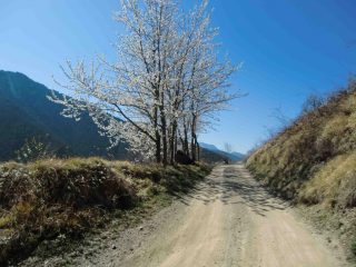 Atmosfere primaverili