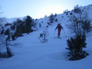 parte alta della Forèt de Lanslevillard