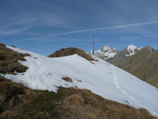 Rosta in vista