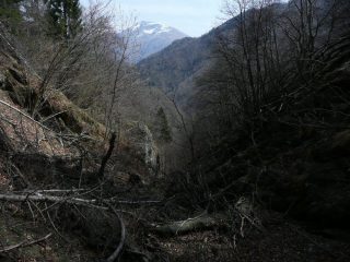 La rocambolesca discesa nel canalone del tributario del rio Sionei, Quinziena sullo sfondo