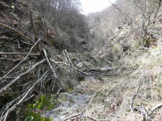 Della serie : Te lo do io il canalone attrezzato !!! :-)