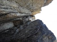 il passaggio del gatto