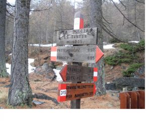 Paline ovunque...