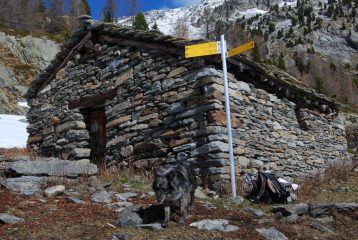 Frank all’Alpe di Leseney