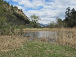 Riserva naturale di Lolair