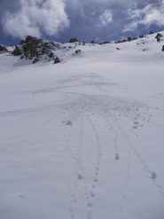 ultime curve su bella primaverile