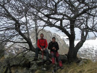 Franco e Stefano sul grande sorbo in cresta
