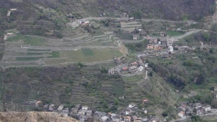 sul versante opposto i vigneti di Montjovet