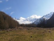 03 - fondo della vallata visto dall'alpe Balmetta