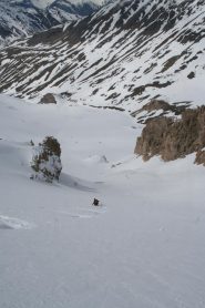 continua il divertimento