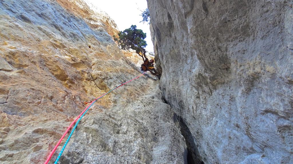 Michele e il famoso ginepro di L11