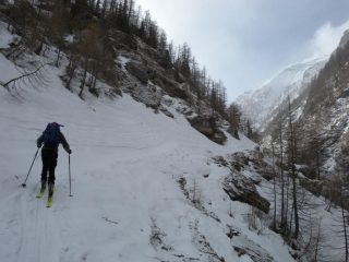 nella gola iniziale