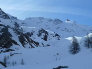 al limite del bosco, si intravede il percorso rimanente  