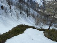 il bosco... si può notare la non banale pendenza