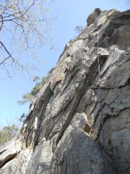 WiErTiDi, 5c, e settore