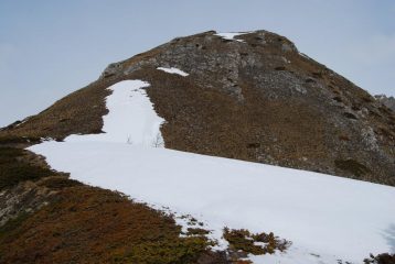 La Testa Drumiana dal colletto, con il versante di salita.