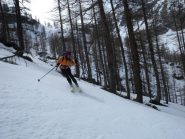 splendida anche nel bosco
