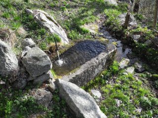 la bella fontana