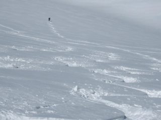 Non ci lamentiamo...