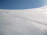 2 SVERNICIATE AL SOLE