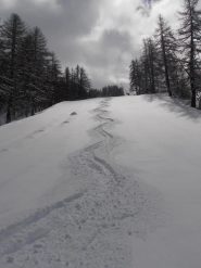 03  - davvero divertente...