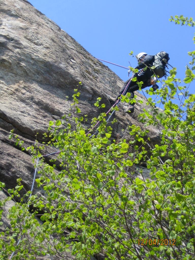 Davide in doppia negli alberi...