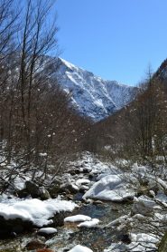 torrente risalendo la valle