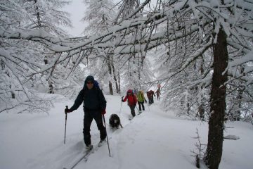 potrebbe essere gennaio!!