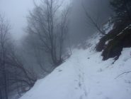 la mulattiera verso il Gias degli Arpi