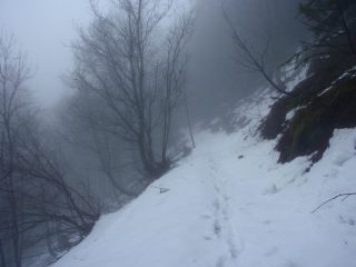 la mulattiera verso il Gias degli Arpi